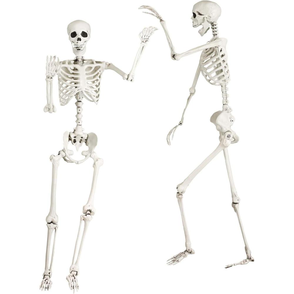 imageFun Costumes Life Size Posable Skeleton Figure Halloween Prop 5 Ft Tall  STStandard