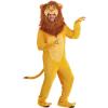 imageAdult Disney The Lion King Mufasa Costume  Disney Costumes