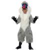 Costume
