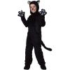 Costume