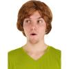 imageMensScooby Doo Shaggy Wig Standard