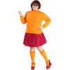 Costume