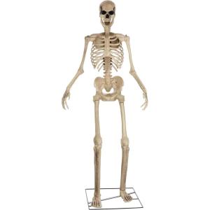 Fun Costumes 8FT Animated Outdoor Yard Skeleton Decoration, Motion Sensor Eyes Flashing LED Light with Moving Jaw, Animatronic Skeleton Halloween Decoration(White)