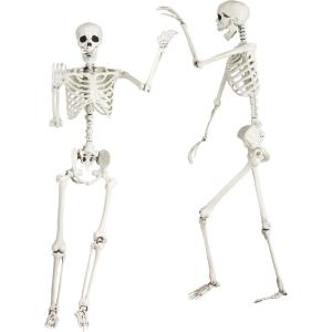 Fun Costumes Life Size Posable Skeleton Figure Halloween Prop 5 Ft Tall – ST(Standard)