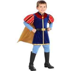 Toddler Disney Sleeping Beauty Prince Phillip Costume for Boys