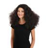 imageWomens Disco Dancer Wig  70s 80s Long Brown Curly Afro Wigs for Disco Parties Synthetic Hairstyle for Women STST