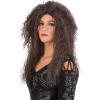 imageWomens Tricky Witch Wig for Halloween Costume  Synthetic Hair Mesh Cap with Elastic Edge  Accessories