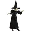 imageWizard of Oz Wicked Witch Costume for Girls  Wicked Witch of the West Classic Black Dress with Hat ampamp Pouch