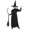 imageWizard of Oz Wicked Witch Costume for Women Wicked Witch of the West Outfit for Scary Cosplay ampamp Halloween