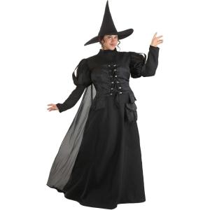 Deluxe Plus Size Wayward Witch Costume | Classic Witch Black Dress and Pointy Hat