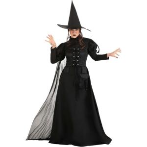 Premium Fun Adult Wayward Witch Costume Dress for Women with Corset, Cape, and Hat Fancy Witch Outfit