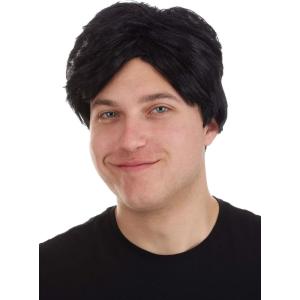 Fun Costumes Flintstones Adult Fred Flintstone Wig – ST(Standard)