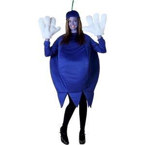 Adult Blueberry Costume – Tunic, Hat, Foam Body, Jagged Hemline – Skullcap with Green Stem Standard Bundle