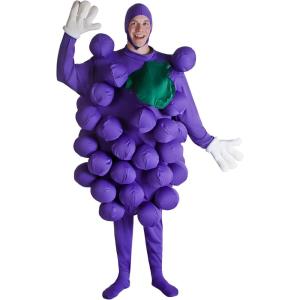 Fun Costumes Adult Purple Grapes Fruit Costume, Standard