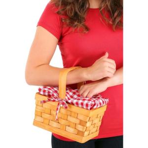 Fun Costumes Gingham Hand Basket Accessory Standard(Standard)