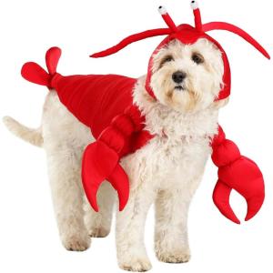Dog Lobster Costume – XS(XS)