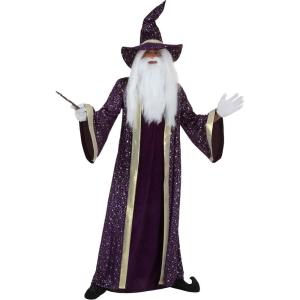 Adult Purple Wizard Costume for Men, Magic Sorcerer Halloween Outfit, Warlock Outfit for Parties