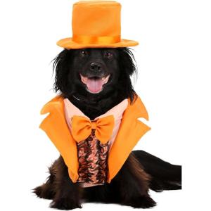 Iconic Dumb Pet Orange Tuxedo Costume | Movie Pet Costumes L(Medium)