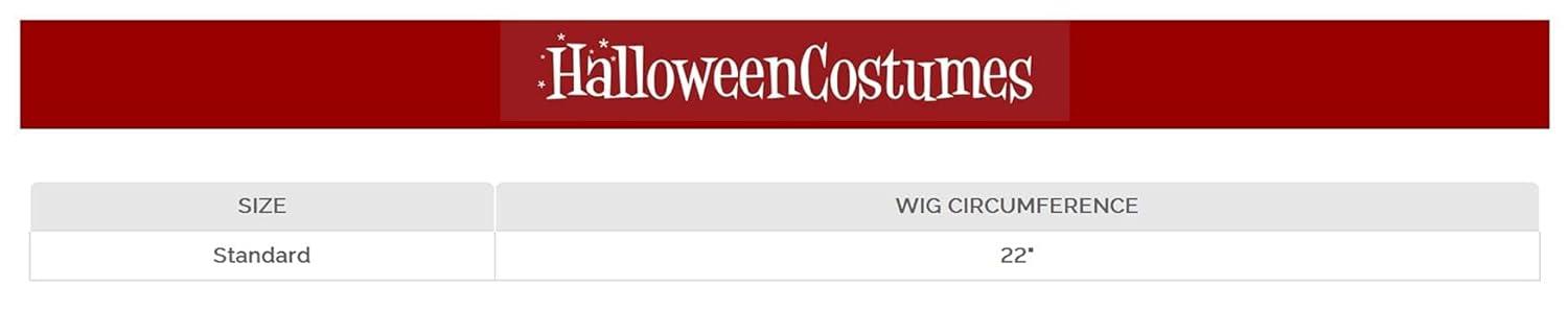 imageFun Costumes Childs Mad Scientist Wig Spiky Black Hairstyle with White Streak Mesh Interior Halloween Accessories