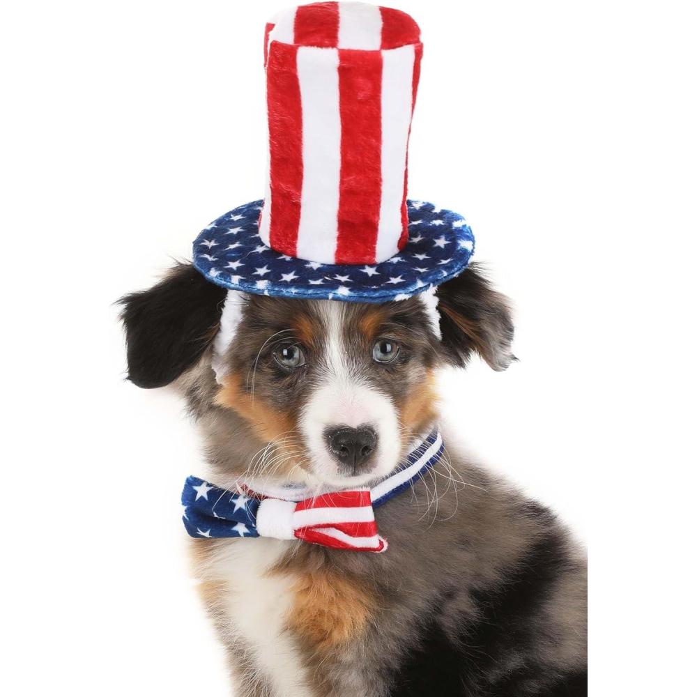 image:imageFun Costumes Patriotic  4Th of July Pet Costume Accessory Kit  Plush Hat amp Collar Set for Dogs and Cats Pet Supplies  ST  RedST