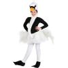 Swan