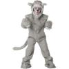 Costume