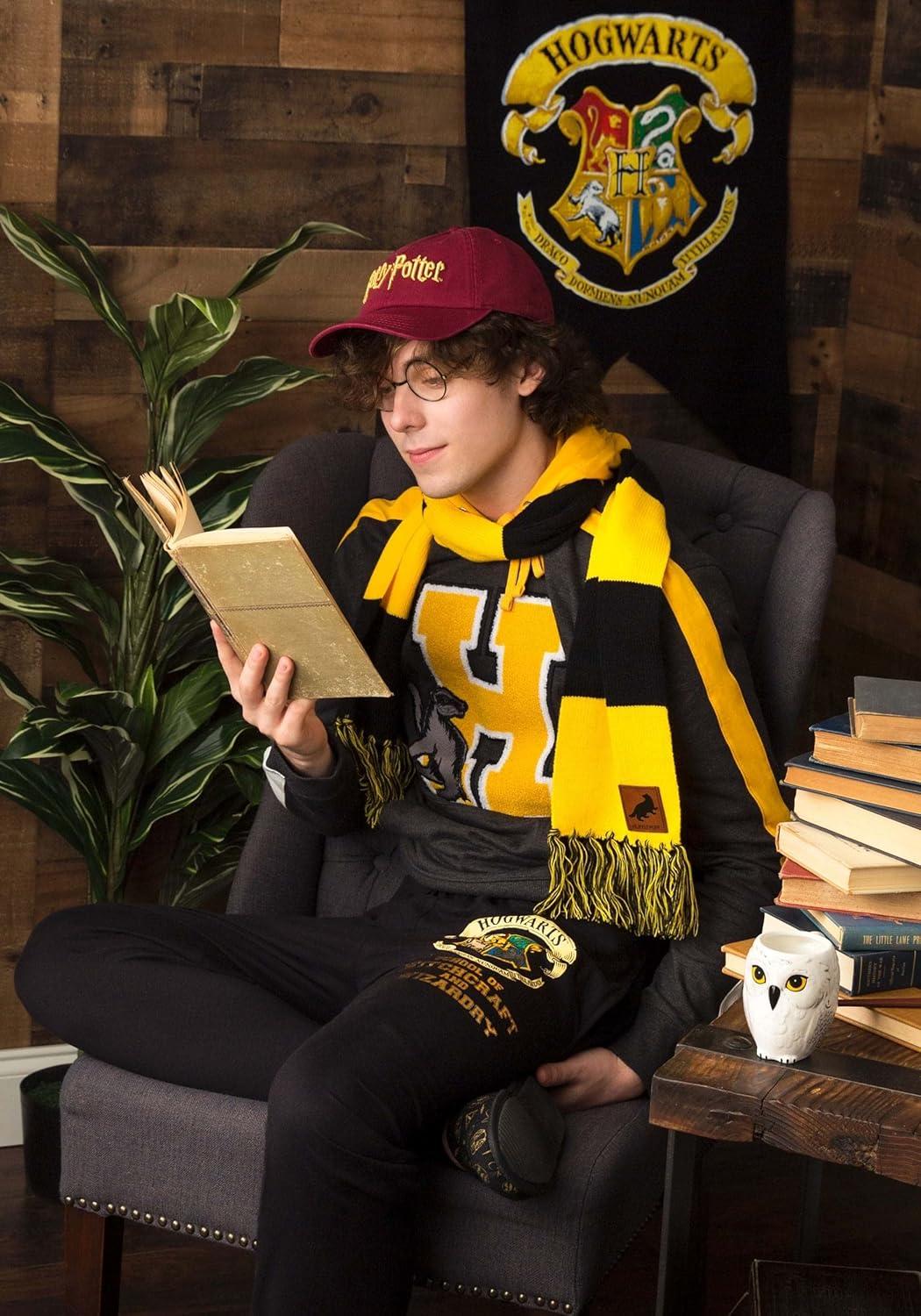 image:imageelope Harry Potter Gryffindor House Patch Striped Scarf  Multicolored  One Size
