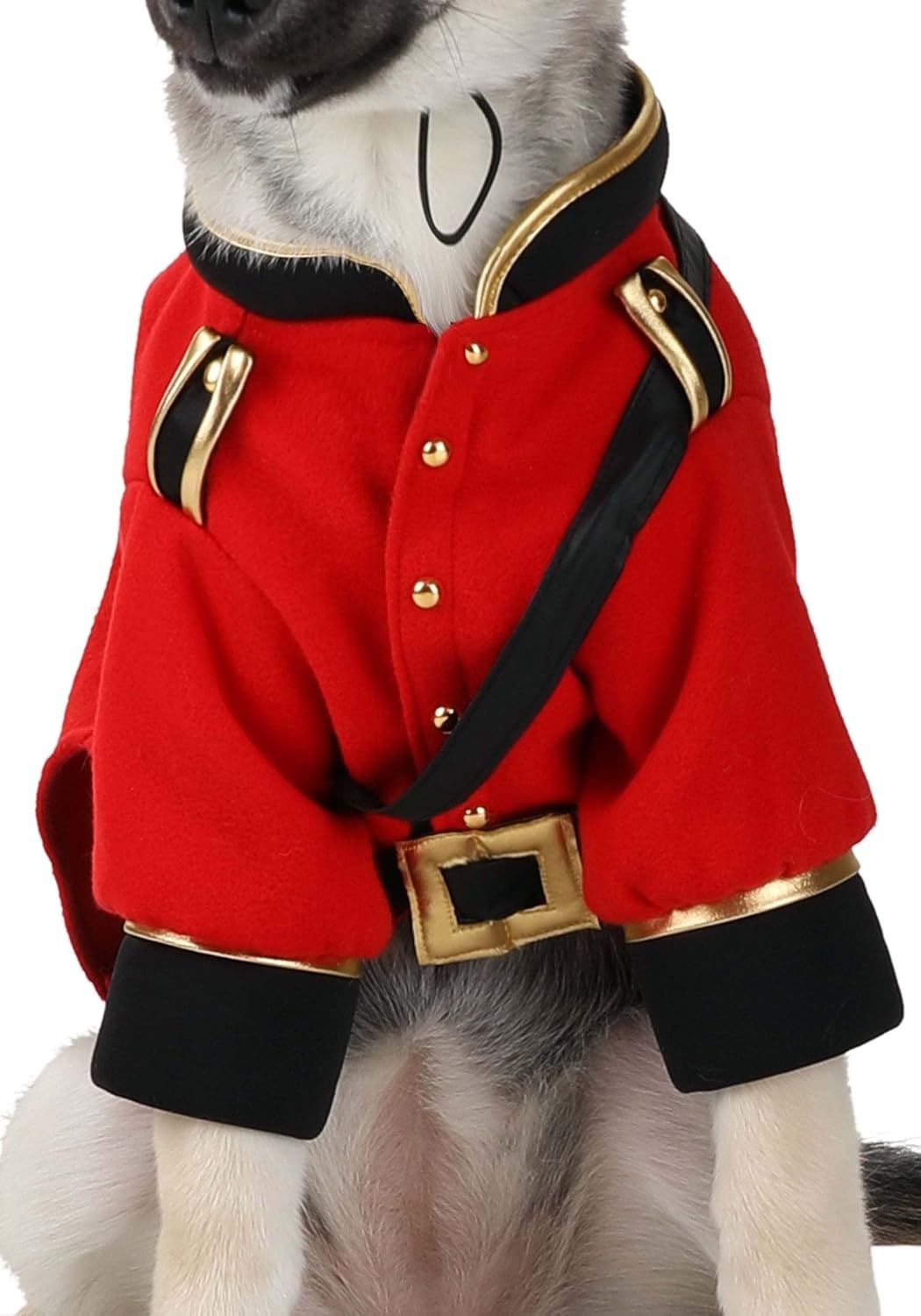 image:imageFun Costumes Dog Mountie Costume Red LargeLarge