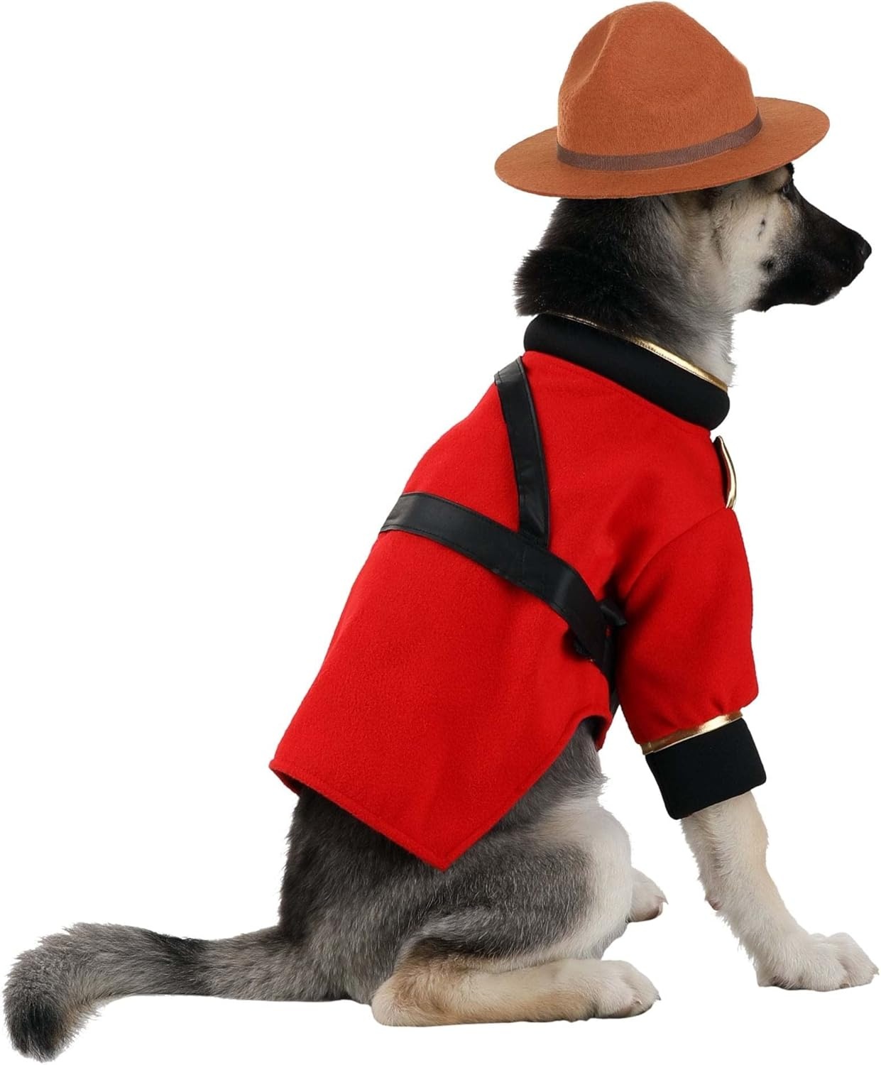 image:imageFun Costumes Dog Mountie Costume Red LargeSmall